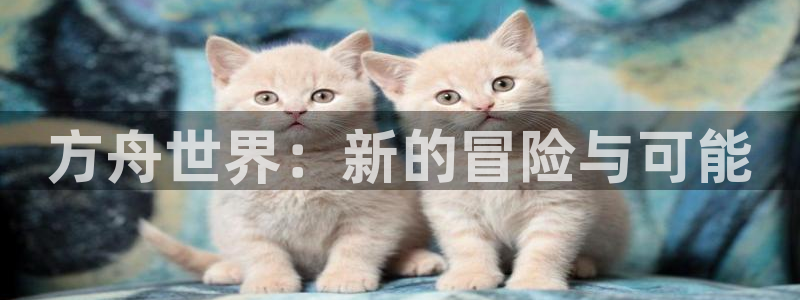 辉达娱乐怎么注册：方舟世界：新的冒险与可能