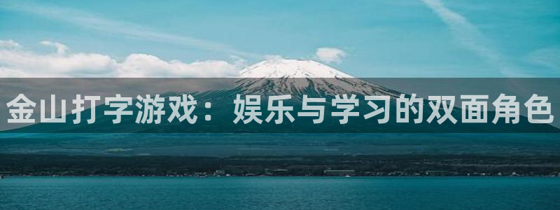辉达娱乐是什么：金山打字游戏：娱乐与学习的双面角色
