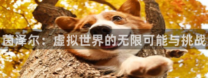 辉达娱乐平台负责人
