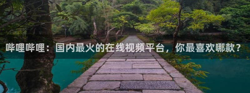 辉达娱乐平台注册资金多少：哔哩哔哩：国内最火的在线视频平台，