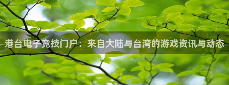辉达娱乐登陆：港台电子竞技门户：来自大陆与台湾的游戏资讯与动