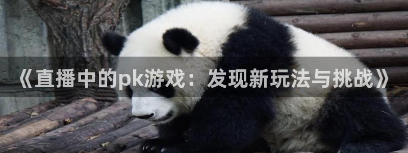 辉达娱乐的意思：《直播中的pk游戏：发现新玩法与挑战》