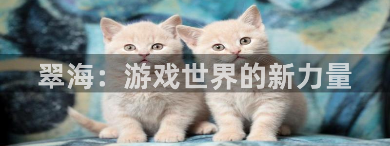 辉达娱乐登录地址：翠海：游戏世界的新力量