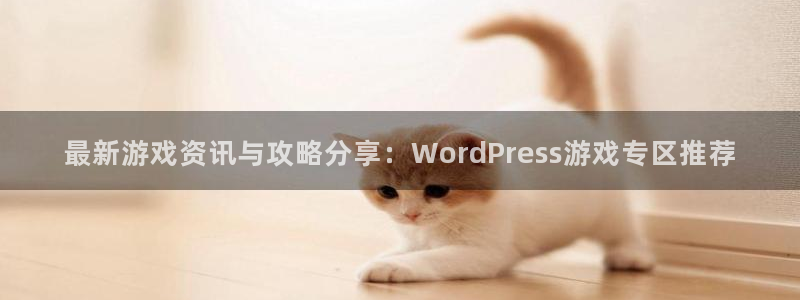 辉达娱乐注册开户：最新游戏资讯与攻略分享：WordPress