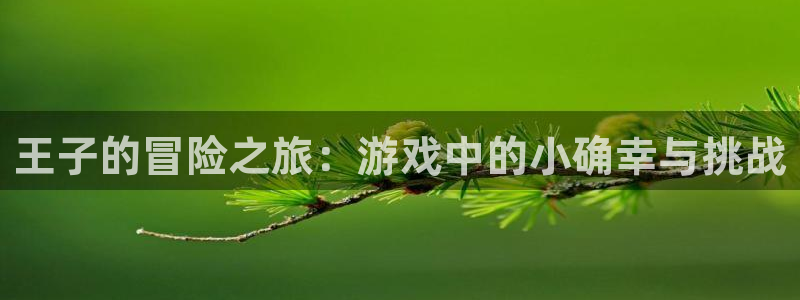 手机辉达娱乐下载安装：王子的冒险之旅：游戏中的小确幸与挑战