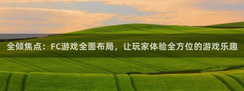 辉达娱乐集团：全倾焦点：FC游戏全面布局，让玩家体验全方位的