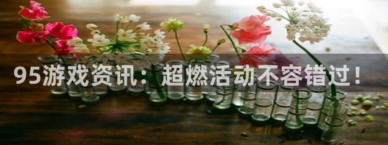 辉达娱乐2首页登录：95游戏资讯：超燃活动不容错过！